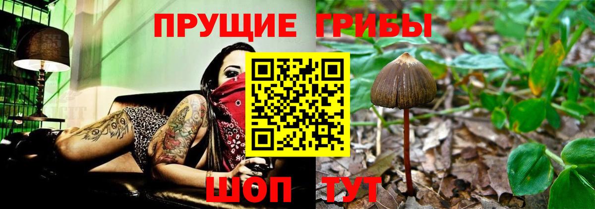 продажа наркотиков  Псилоцибиновые грибы прущие грибы  Вход с VPN  Железноводск 