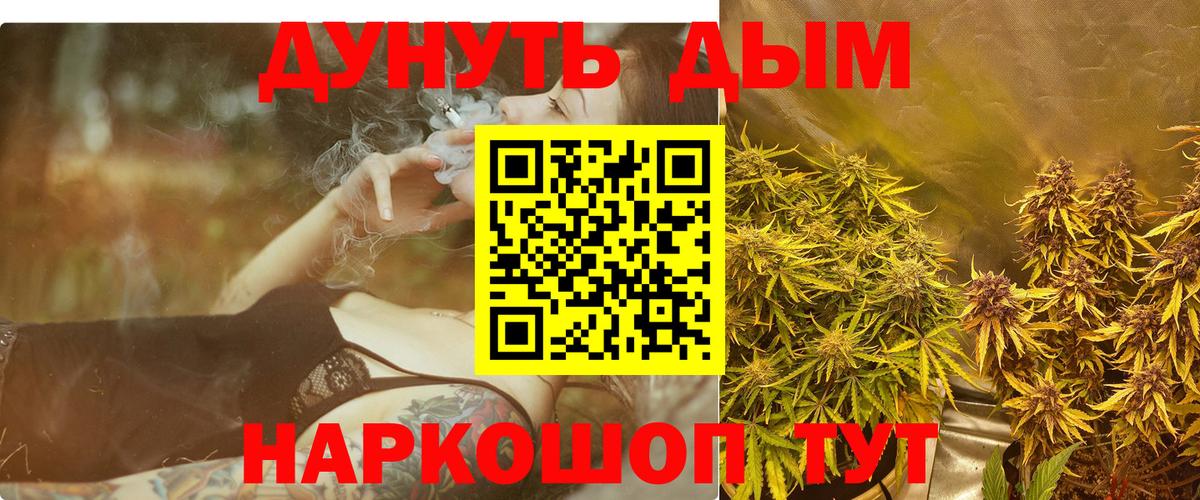 Конопля план Железноводск